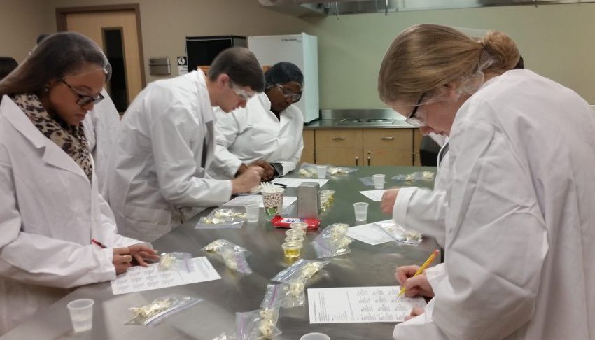students in lab setting