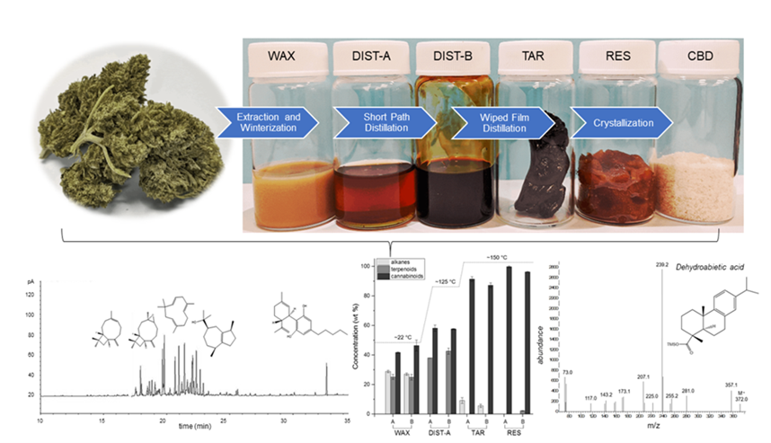 This figure shows the fractionation of CBD hemp and the main and by-products