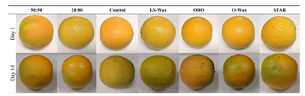 Coating and moisture loss of oranges with emulsions made from different types of waxes.