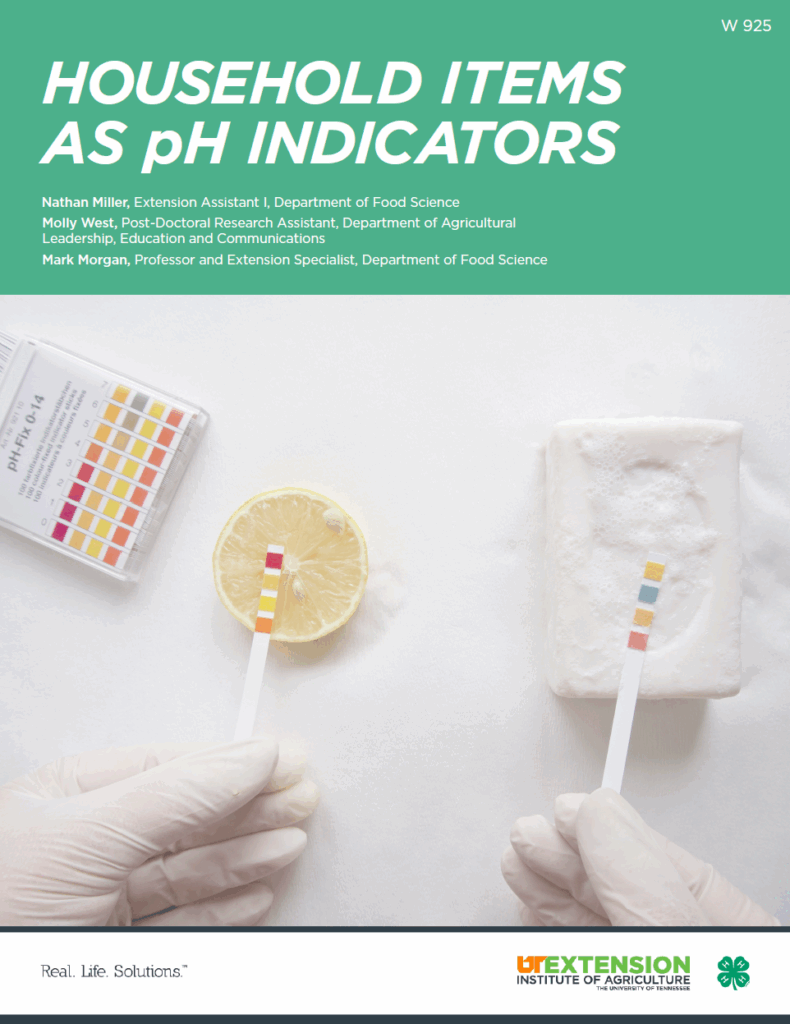 Household Items As pH Indicators