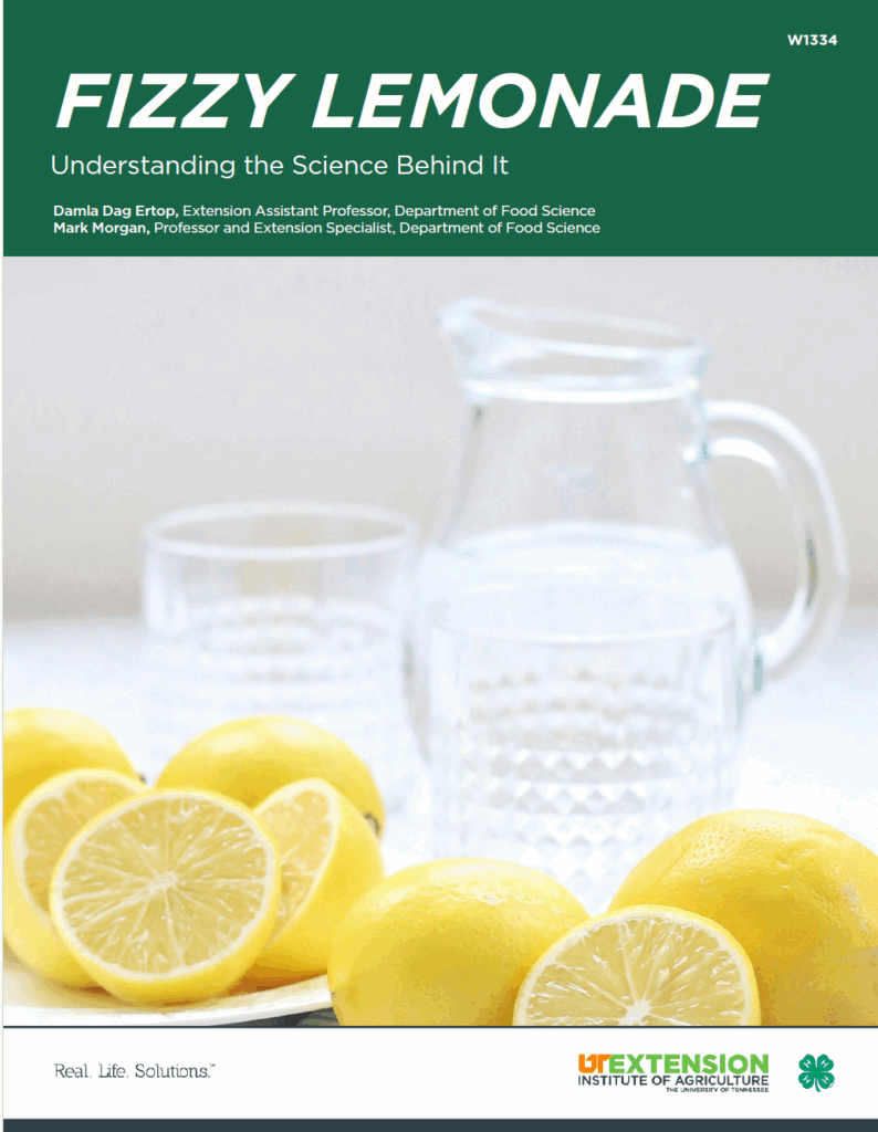 Fizzy Lemonade Lesson Plan Cover Page